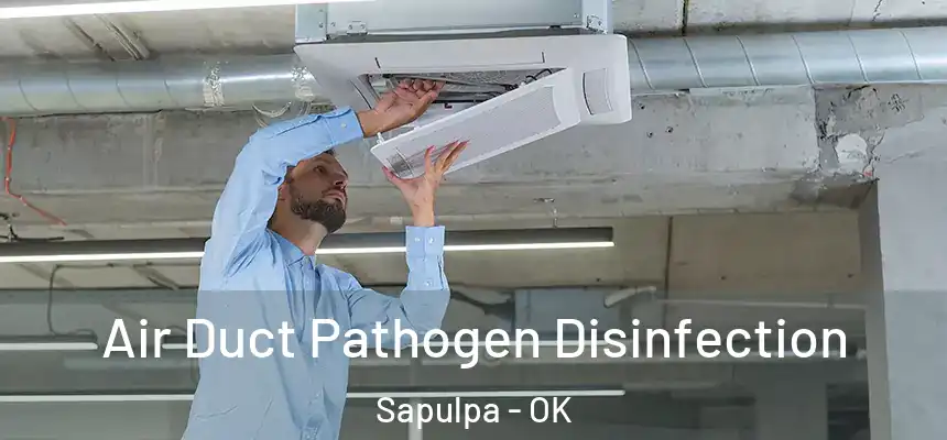  Air Duct Pathogen Disinfection Sapulpa - OK