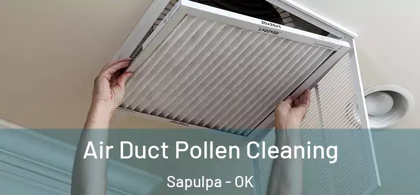  Air Duct Pollen Cleaning Sapulpa - OK