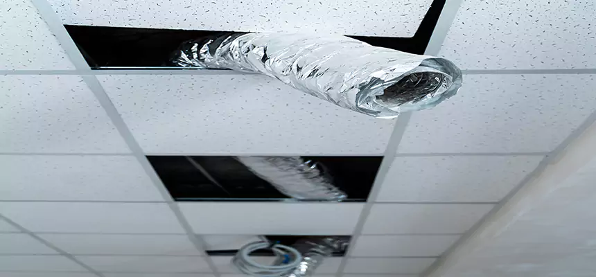 Affordable HVAC Sanitizing After Pest Removal in Sapulpa