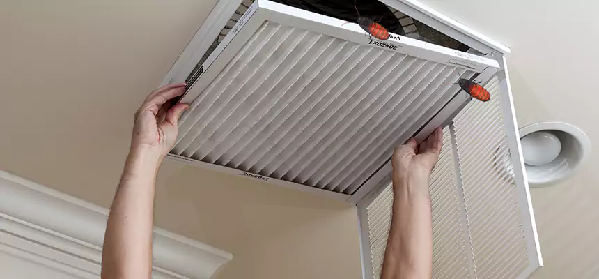 Our Insect Removal from Air Ducts Services in Sapulpa, OK