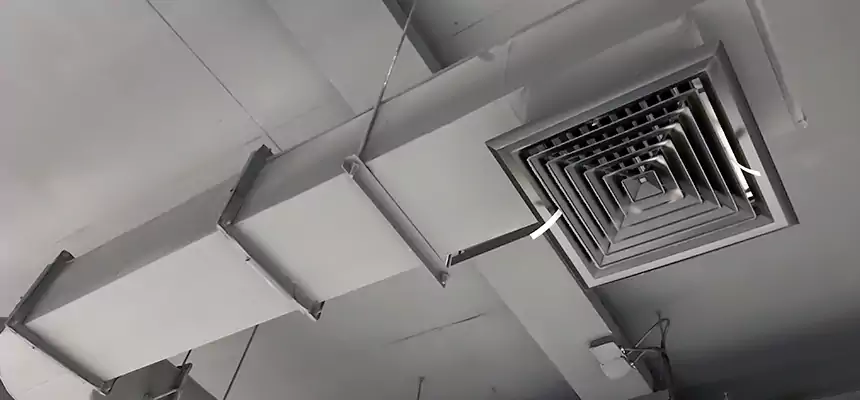 Our Pest Removal From Ducts Services in Sapulpa, OK