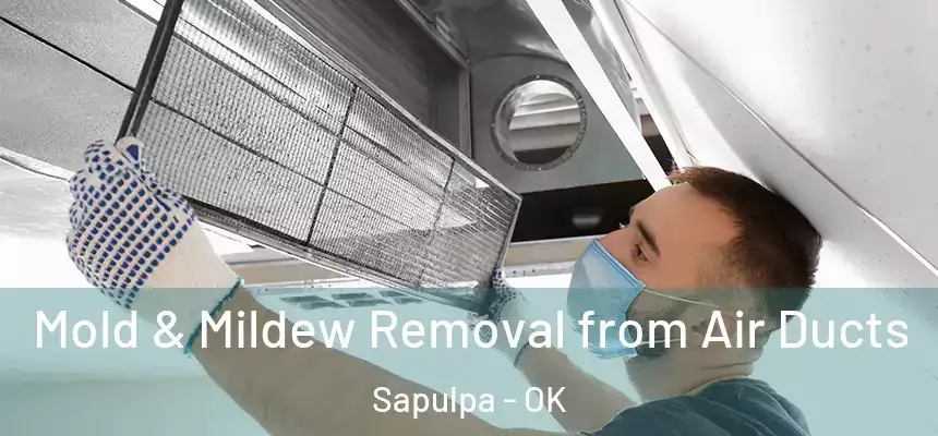  Mold & Mildew Removal from Air Ducts Sapulpa - OK