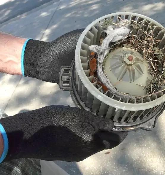 About Air Duct Mice Removal in Sapulpa, OK