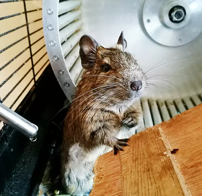 Why Homeowners & Businesses Trust Us Sapulpa, OK?